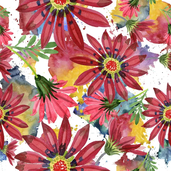 Flor de gazania roja. Flor botánica floral. Patrón de fondo sin costuras . — Foto de Stock