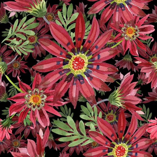 Flor de gazania roja. Flor botánica floral. Patrón de fondo sin costuras . — Foto de Stock