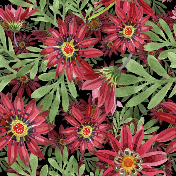 Rode gazania bloem. Floral botanische bloem. Naadloze achtergrondpatroon. — Stockfoto