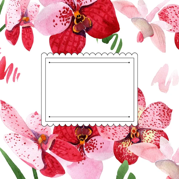 Rode Orchidee Vanda Bloemen Floral Botanische Bloem Frame Grens Ornament — Stockfoto