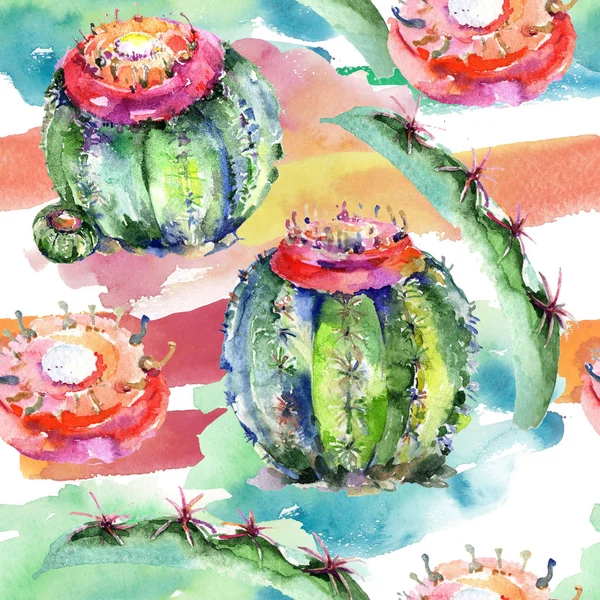 Wildblumengrüner Kaktus Blütenbotanische Blume Nahtlose Hintergrundmuster Textur Für Stofftapeten Aquarell — Stockfoto