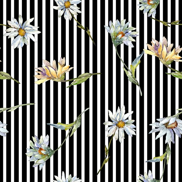 Hvid Daisy Blomst Blomsterbotanisk Blomst Problemfri Baggrund Mønster Stof Tapet - Stock-foto