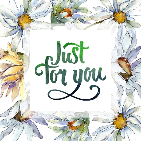 Beyaz papatya çiçek. Botanik çiçek. Çerçeve kenarlığı süsleme Meydanı. Arka plan, doku, sarıcı desen, çerçeve veya kenarlık için Aquarelle kır çiçeği.