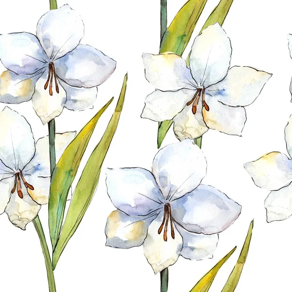 Bílá amaryllis. Květinové botanické květin. Vzor bezešvé pozadí. — Stock fotografie