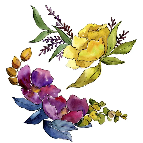 Coloridas Flores Tropicales Ramo Flor Botánica Floral Elemento Ilustración Aislado — Foto de Stock