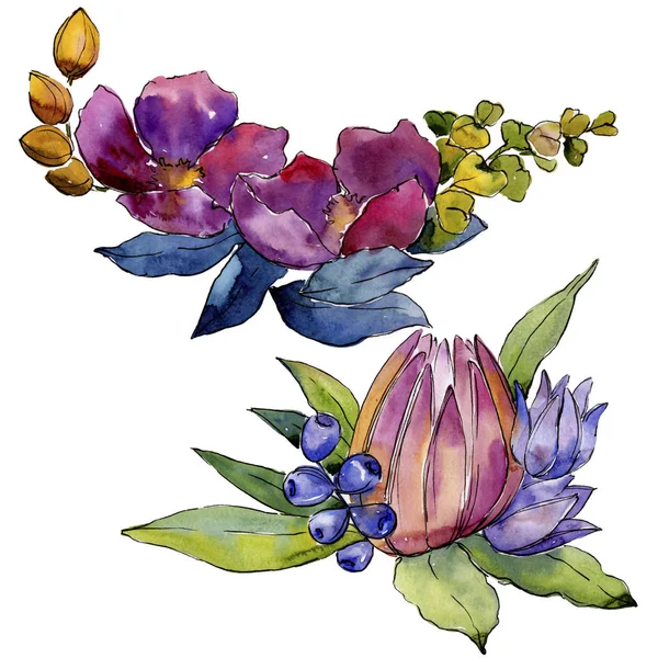 Färgglad Bukett Tropiska Blommor Blommig Botaniska Blomma Isolerade Illustration Element — Stockfoto