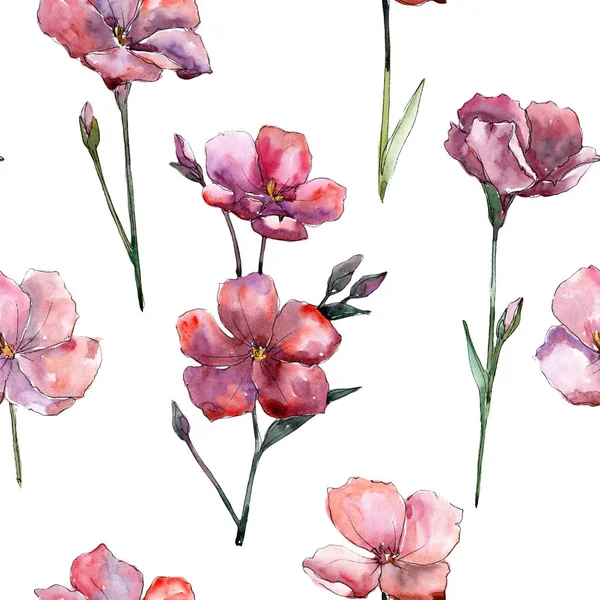 Fiordaliso Rosa Floreale Botanico Flower Seamless Modello Sfondo Tessuto Carta — Foto Stock