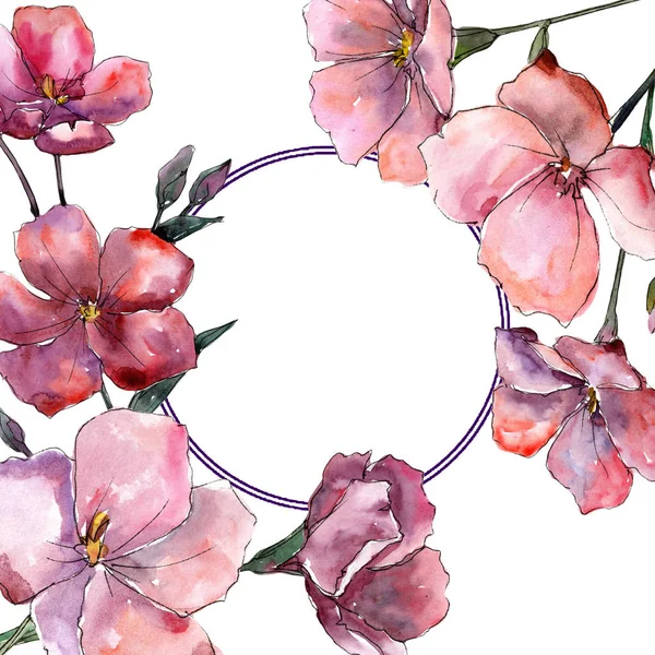 Fiordaliso Rosa Fiore Botanico Floreale Quadrato Ornamento Bordo Cornice Fiordaliso — Foto Stock
