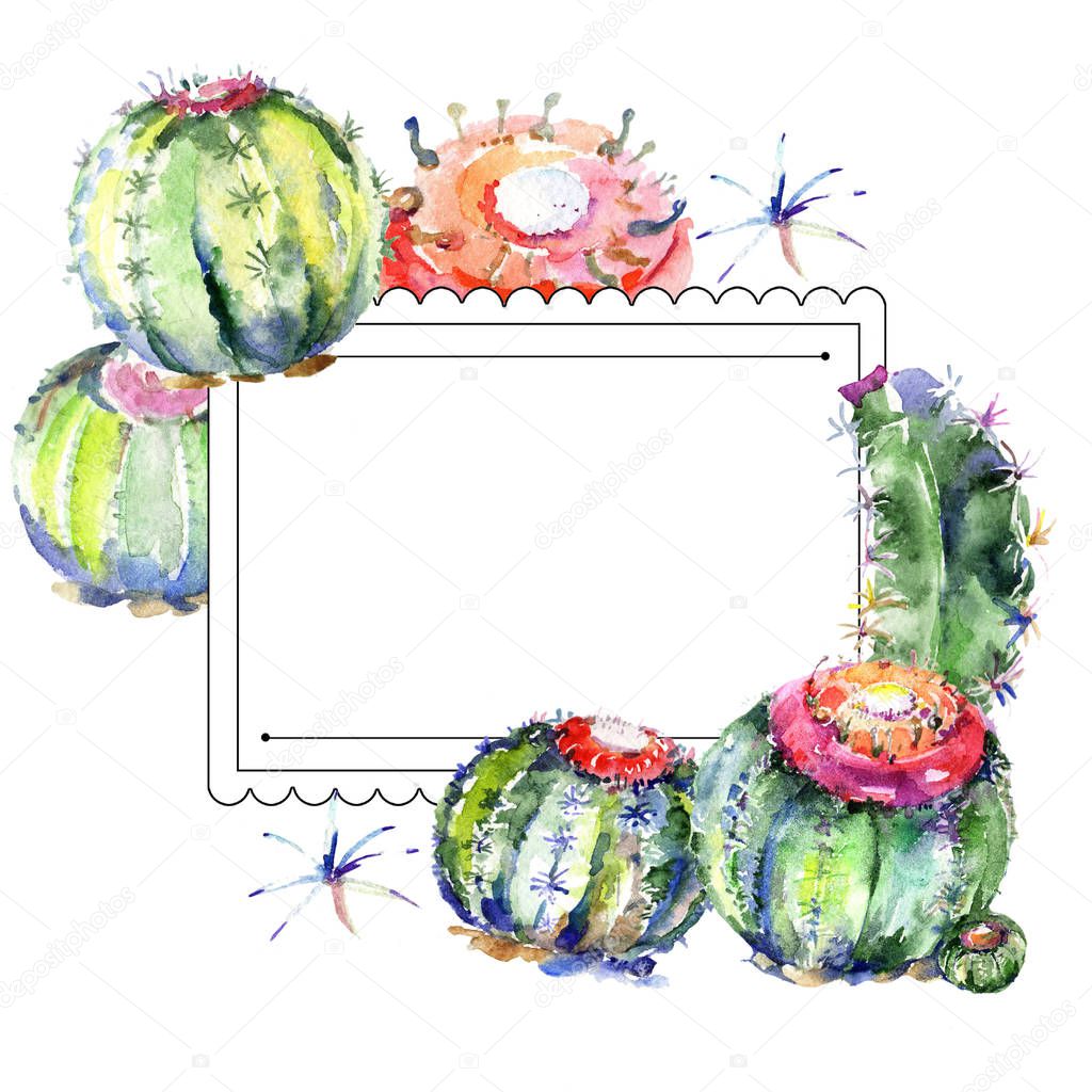 Wildflower green cactus. Floral botanical flower. Frame border ornament square. Aquarelle wildflower for background, texture, wrapper pattern, frame or border.