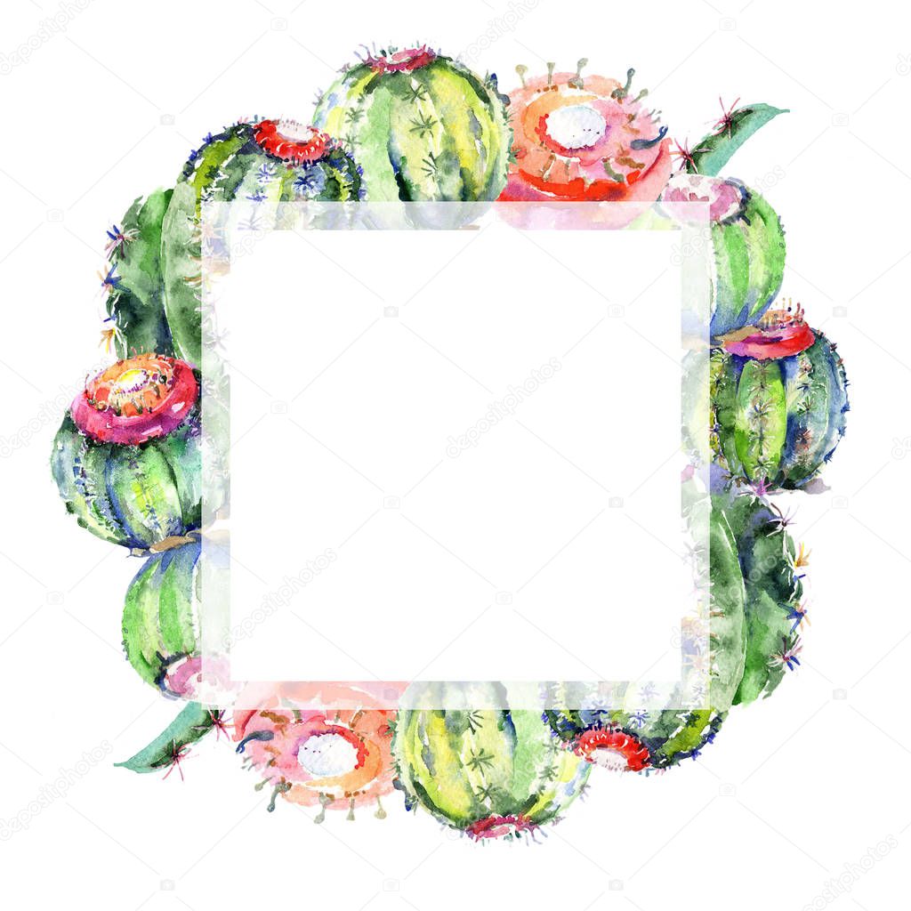 Wildflower green cactus. Floral botanical flower. Frame border ornament square. Aquarelle wildflower for background, texture, wrapper pattern, frame or border.