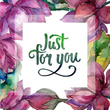 Pembe lotus çiçeği. Botanik çiçek. Çerçeve kenarlığı süsleme Meydanı. Arka plan, doku, sarıcı desen, çerçeve veya kenarlık için Aquarelle kır çiçeği.