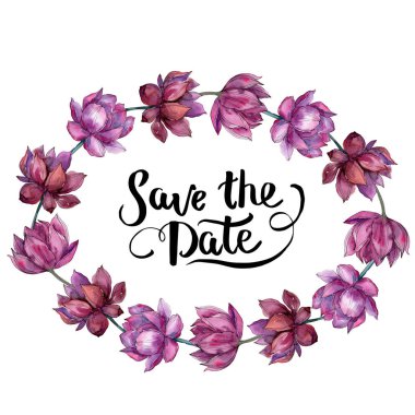 Pembe lotus çiçeği. Botanik çiçek. Çerçeve kenarlığı süsleme Meydanı. Arka plan, doku, sarıcı desen, çerçeve veya kenarlık için Aquarelle kır çiçeği.