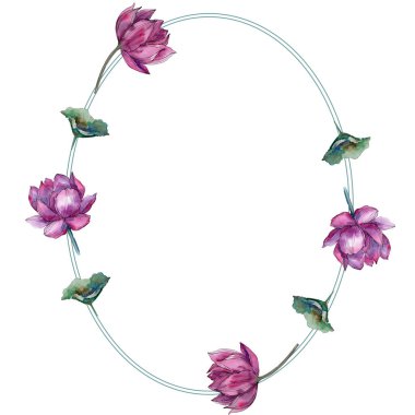 Pembe lotus çiçeği. Botanik çiçek. Çerçeve kenarlığı süsleme Meydanı. Arka plan, doku, sarıcı desen, çerçeve veya kenarlık için Aquarelle kır çiçeği.
