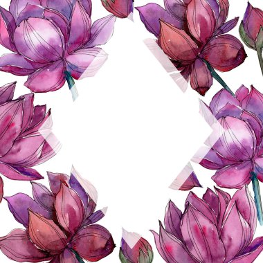 Pembe lotus çiçeği. Botanik çiçek. Çerçeve kenarlığı süsleme Meydanı. Arka plan, doku, sarıcı desen, çerçeve veya kenarlık için Aquarelle kır çiçeği.