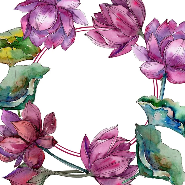 Розовый Цветок Лотоса Цветочный Ботанический Цветок Каркас Границы Украшения Квадрат — стоковое фото