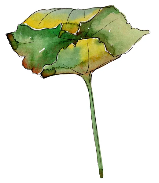 Feuille Lotus Dans Style Aquarelle Isolé Feuille Aquarelle Pour Fond — Photo