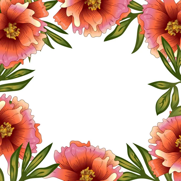 Peony Λουλούδια Καρέ Ένα Στυλ Διάνυσμα Πλατεία Στολίδι Περίγραμμα Πλαισίου — Διανυσματικό Αρχείο