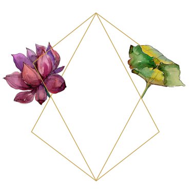 Pembe lotus çiçeği. Botanik çiçek. Çerçeve kenarlığı süsleme Meydanı. Arka plan, doku, sarıcı desen, çerçeve veya kenarlık için Aquarelle kır çiçeği.
