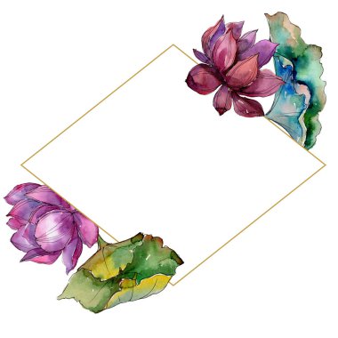 Pembe lotus çiçeği. Botanik çiçek. Çerçeve kenarlığı süsleme Meydanı. Arka plan, doku, sarıcı desen, çerçeve veya kenarlık için Aquarelle kır çiçeği.
