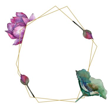 Pembe lotus çiçeği. Botanik çiçek. Çerçeve kenarlığı süsleme Meydanı. Arka plan, doku, sarıcı desen, çerçeve veya kenarlık için Aquarelle kır çiçeği.