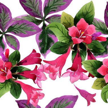 Sulu boya pembe weigela florida çiçekler. Sorunsuz arka plan deseni. Kumaş duvar kağıdı yazdırma doku. Arka plan, doku, sarıcı desen, çerçeve veya kenarlık için Aquarelle kır çiçeği.