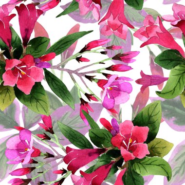 Sulu boya pembe weigela florida çiçekler. Sorunsuz arka plan deseni. Kumaş duvar kağıdı yazdırma doku. Arka plan, doku, sarıcı desen, çerçeve veya kenarlık için Aquarelle kır çiçeği.