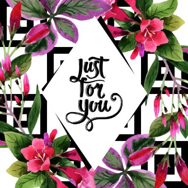 Sulu boya pembe weigela florida çiçekler. Botanik çiçek. Çerçeve kenarlığı süsleme Meydanı. Arka plan, doku, sarıcı desen, çerçeve veya kenarlık için Aquarelle kır çiçeği.