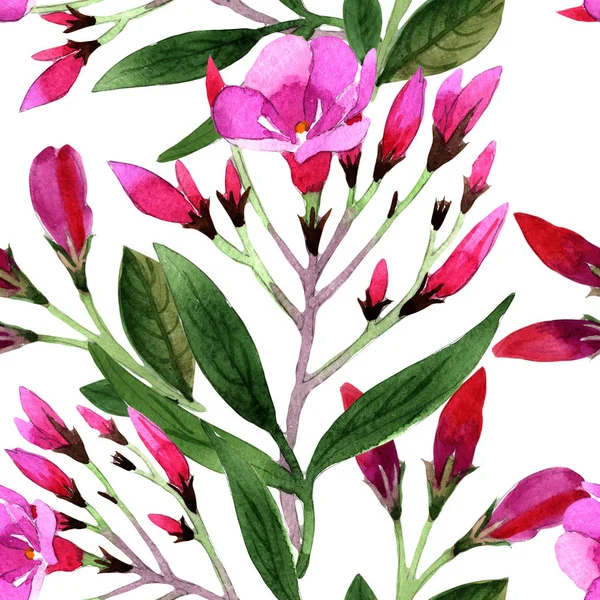 Aquarell Rosa Weigela Florida Blüten Nahtlose Hintergrundmuster Textur Für Stofftapeten — Stockfoto