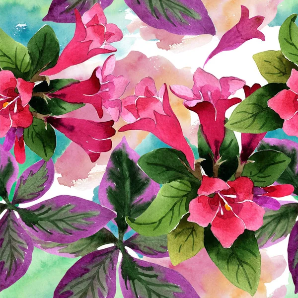 Aquarela Rosa Flores Weigela Florida Padrão Fundo Sem Costura Tecido — Fotografia de Stock