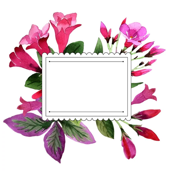 Akvarell Rózsaszín Weigela Florida Virágok Virágos Botanikai Virág Test Határ — Stock Fotó