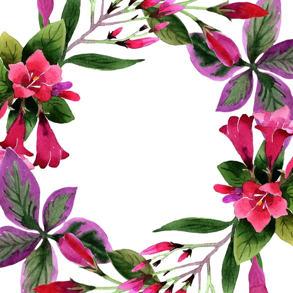 Ακουαρέλα Ροζ Weigela Φλόριντα Λουλούδια Floral Βοτανικό Λουλούδι Πλατεία Στολίδι — Φωτογραφία Αρχείου