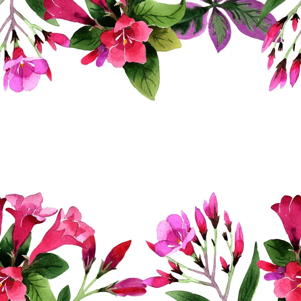 Akwarela Różowy Weigela Florida Kwiaty Botaniczny Kwiat Kwiatowy Ramki Granicznej — Zdjęcie stockowe