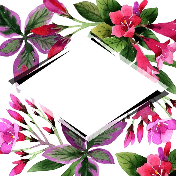 Aquarel Roze Weigela Florida Bloemen Floral Botanische Bloem Frame Grens — Stockfoto