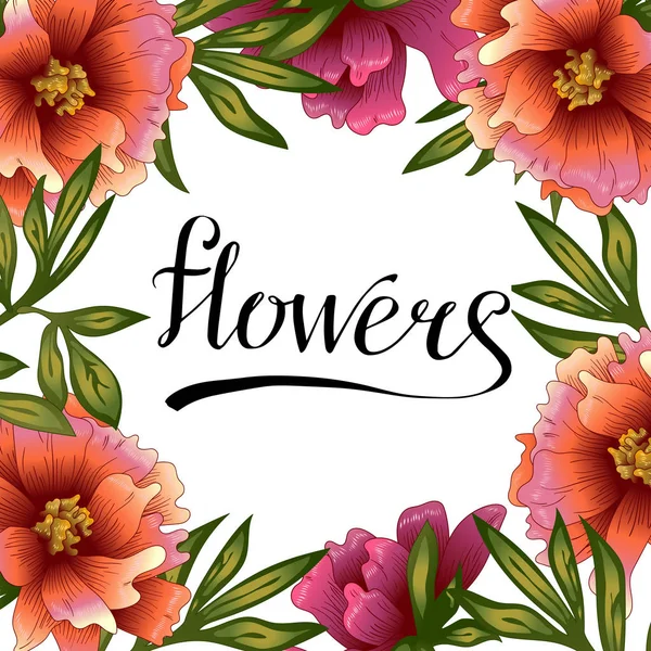 Peony Frame Flores Estilo Vetorial Quadro Borda Ornamento Quadrado Flor — Vetor de Stock