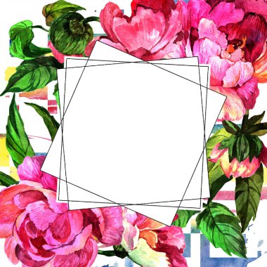 Sulu boya pembe şakayık çiçeği. Botanik çiçek. Çerçeve kenarlığı süsleme Meydanı. Arka plan, doku, sarıcı desen, çerçeve veya kenarlık için Aquarelle kır çiçeği.