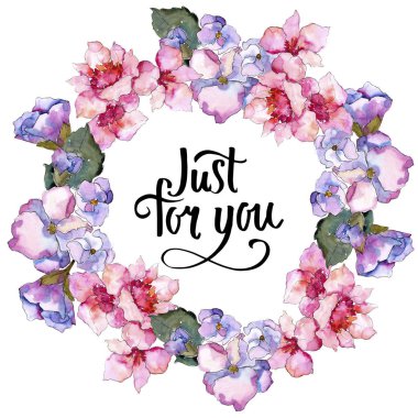 Pembe ve mor gardania. Botanik çiçek. Çerçeve kenarlığı süsleme Meydanı. Arka plan, doku, sarıcı desen, çerçeve veya kenarlık için Aquarelle kır çiçeği.