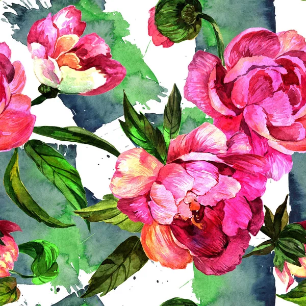 Ακουαρέλα Ροζ Παιωνία Λουλούδι Floral Βοτανικό Λουλούδι Απρόσκοπτη Υπόβαθρο Μοτίβο — Φωτογραφία Αρχείου