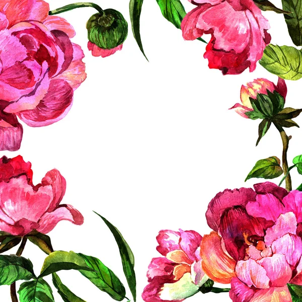 Akwarela Różowa Piwonia Kwiat Botaniczny Kwiat Kwiatowy Ramki Granicznej Ornament — Zdjęcie stockowe
