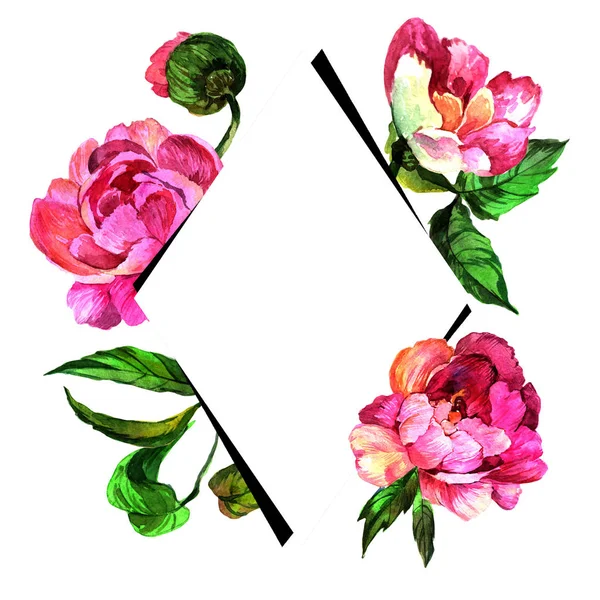 水彩ピンク牡丹の花 花植物の花 フレーム枠飾りスクエア テクスチャ ラッパー パターン フレームや境界線の Aquarelle ワイルドフラワー — ストック写真