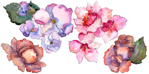 Garderie Rose Violette Fleur Botanique Florale Élément Illustration Isolé Aquarelle — Photo