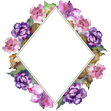 Pembe ve mor gardania. Botanik çiçek. Çerçeve kenarlığı süsleme Meydanı. Arka plan, doku, sarıcı desen, çerçeve veya kenarlık için Aquarelle kır çiçeği.