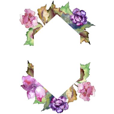 Pembe ve mor gardania. Botanik çiçek. Çerçeve kenarlığı süsleme Meydanı. Arka plan, doku, sarıcı desen, çerçeve veya kenarlık için Aquarelle kır çiçeği.