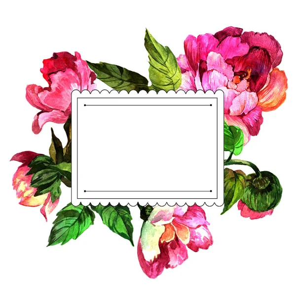 Flor Peônia Rosa Aquarela Floral Flor Botânica Quadro Borda Ornamento — Fotografia de Stock