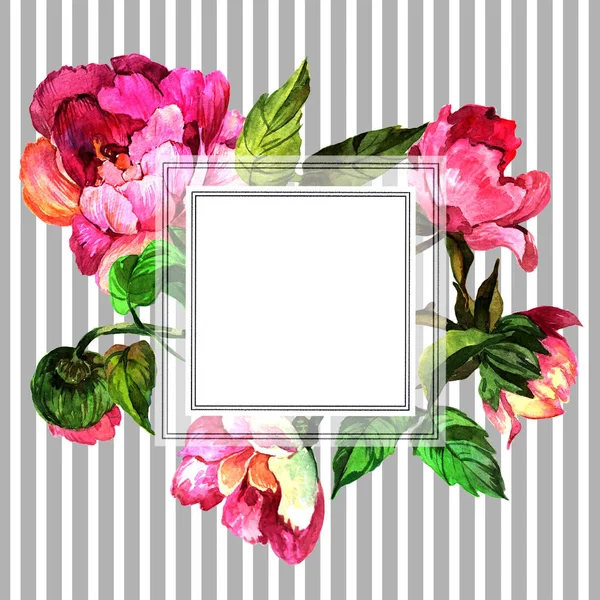 Akvarell Rosa Pion Blomma Blommig Botaniska Blomma Ram Gränsen Prydnad — Stockfoto