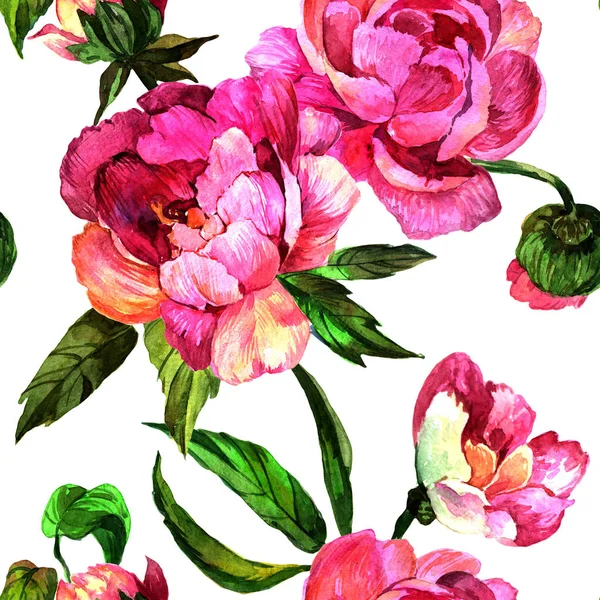 水彩ピンク牡丹の花 花植物の花 シームレスな背景パターン 壁紙印刷手触りの生地 テクスチャ ラッパー パターン フレームや境界線の Aquarelle ワイルドフラワー — ストック写真