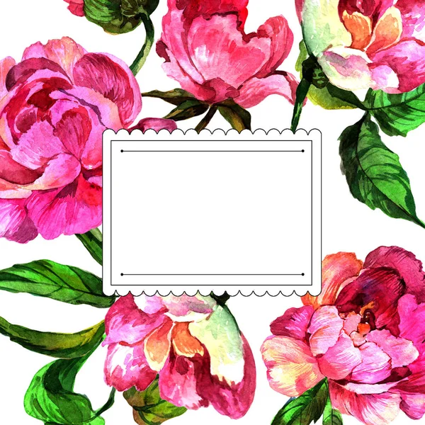 Acquerello Fiore Peonia Rosa Fiore Botanico Floreale Quadrato Ornamento Bordo — Foto Stock