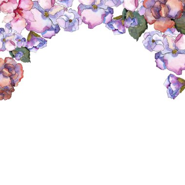 Pembe ve mor gardania. Botanik çiçek. Çerçeve kenarlığı süsleme Meydanı. Arka plan, doku, sarıcı desen, çerçeve veya kenarlık için Aquarelle kır çiçeği.