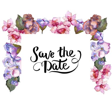 Pembe ve mor gardania. Botanik çiçek. Çerçeve kenarlığı süsleme Meydanı. Arka plan, doku, sarıcı desen, çerçeve veya kenarlık için Aquarelle kır çiçeği.