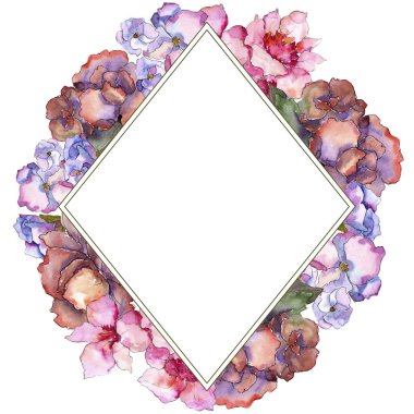 Pembe ve mor gardania. Botanik çiçek. Çerçeve kenarlığı süsleme Meydanı. Arka plan, doku, sarıcı desen, çerçeve veya kenarlık için Aquarelle kır çiçeği.