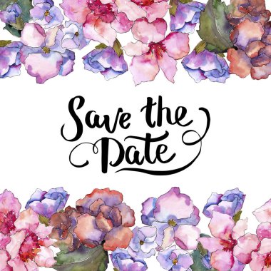 Pembe ve mor gardania. Botanik çiçek. Çerçeve kenarlığı süsleme Meydanı. Arka plan, doku, sarıcı desen, çerçeve veya kenarlık için Aquarelle kır çiçeği.